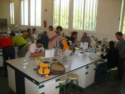 Taller de lupas: Taller de lupas Taller de lupas: Taller de lupas