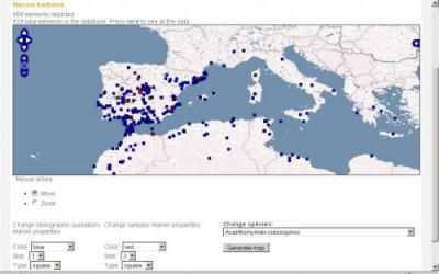 Ejemplo de mapa de distribución de una especie en formicidae.org